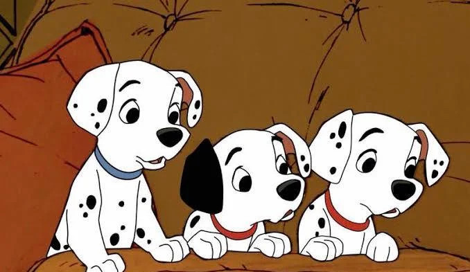 Dogpedia, cani, articoli, prodotti, accessori, news per cani, La carica dei 101