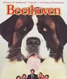 Dogpedia, cani, articoli, prodotti, accessori, news per cani, Beethoven