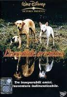 Dogpedia, cani, articoli, prodotti, accessori, news per cani, L'incredibile viaggio