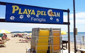 In vacanza col cane in Toscana, spiagge per cani, strutture per cani, pet-friendly