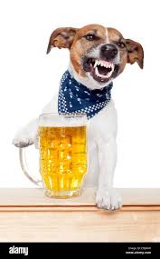 Dogpedia, cani, articoli, prodotti, accessori, alimenti dannosi per il cane, Alcol