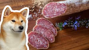 Dogpedia, cani, articoli, prodotti, accessori, alimenti dannosi per il cane, cibi salati e insaccati