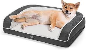 Dogpedia, Blog, cani, articoli, prodotti, accessori, I 25 prodotti per cani più venduti nel 2024, Letti per cani