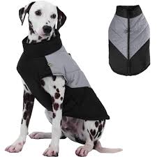 Dogpedia, Blog, cani, articoli, prodotti, accessori, I 25 prodotti per cani più venduti nel 2024, Abbigliamento per cani