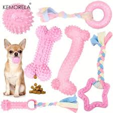 Dogpedia, Blog, cani, articoli, prodotti, accessori, I 25 prodotti per cani più venduti nel 2024, giocattoli per cani