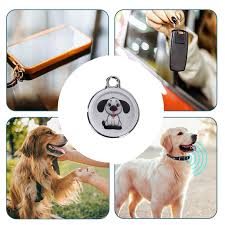 Dogpedia, Blog, cani, articoli, prodotti, accessori, I 25 prodotti per cani più venduti nel 2024, Etichette e localizzatori per cani