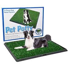 Dogpedia, Blog, cani, articoli, prodotti, accessori, I 25 prodotti per cani più venduti nel 2024, lettiere per cani